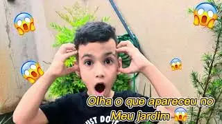 OLHA O QUE APARECEU NO MEU JARDIM 🪴 😱