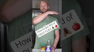 How to Get Rid of FRUIT FLIES 🪰 🍎