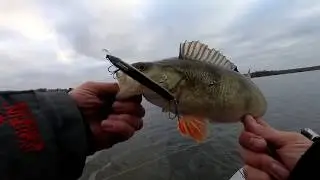 Что ест хищник на глубине 4 метра. Лучшая приманка на окуня. спиннинг . Рыбалка на озере.