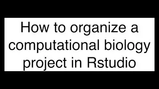 How to Organize a Computational Biology Project