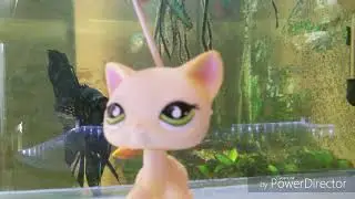 Lps  клип золотыми рыбками быть не просто