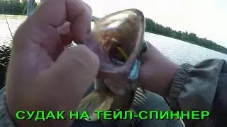 ЭТОТ ТЕЙЛ-СПИННЕР ЛОВИТ ДАЖЕ СУДАКА.  ИЮЛЬ 2024.