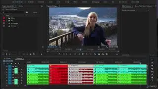 Adobe Premiere Pro CC Complete A Video Editing Project 8