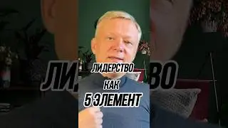 К чему не приводят ЛИДЕРСКИЕ программы 