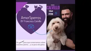 16 de marzo de 2023