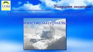 Коротко об Университете Миллионеров