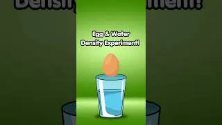Egg & Water Density Experiment! #scienceexperiment