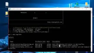 freeFTPd Exploit
