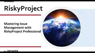 Mastering Issue Management with RiskyProject Professional