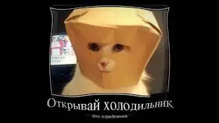 Смешные демотиваторы котов