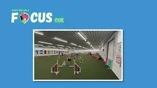 Teach Your Dog A FOCUS Cue!