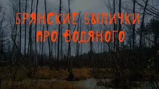 🙀 Водяной | Жуть в брянских водоёмах | В. Д. Глебов | Брянские былички | 165–178