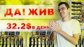 ЖИВ ЛИ МАЙНИНГ ЛЕТОМ 2019? Что я майню сейчас.