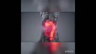 Sirli quti Magic Pack
