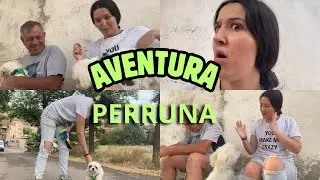 AVENTURAS PERRUNAS // Esto es lo que pasa cuando paseamos a los perretes