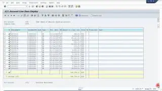 SAP GL Account Line Item Display (Account Ledger)