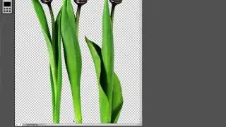 Tutorial: Cómo eliminar el fondo de una fotografía con Pixlr