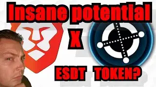 ELROND to list BAT/BRAVE as an ESDT TOKEN on MAIAR?!  The insane potential of Elrond's ESDT tokens!