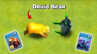 Druid Bear vs All Troops - Clash Of Clans