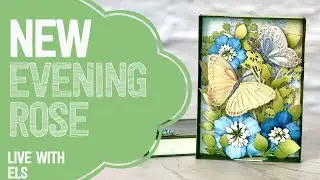 NEW 'Evening Rose' collection! | LIVE with Els