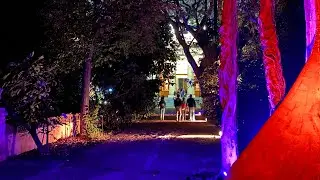 Orto Botanico di Palermo Video Mapping @animamundifestival