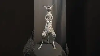 VID 20200117 153559