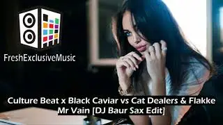 Culture Beat x Black Caviar vs Cat Dealers & Flakke - Mr Vain [DJ Baur Sax Edit]