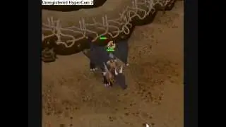 Draconic Visage drop off black dragon