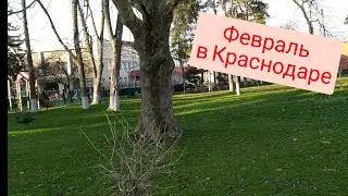 Наконец солнце +10☀️ Погода в Краснодаре Переезд в Краснодар февраль 2022