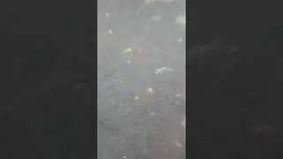 For mother fucking Russia