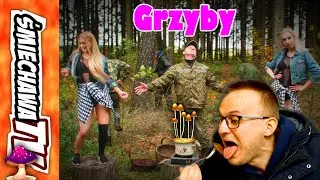 Grzyby 