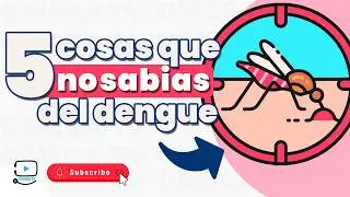 🦟5 Cosas que NO Sabías sobre el Dengue: ¡Sorprendentes Datos para Protegerte!