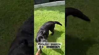 #жизньнаморе