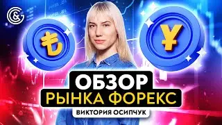 Обзор рынка Форекс I Июнь 2023