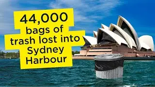 Using Artificial Intelligence To Reduce Plastic Waste.