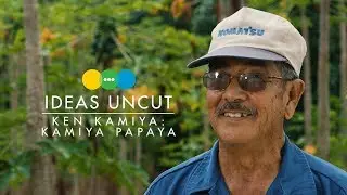 IDEAS UNCUT: KEN KAMIYA
