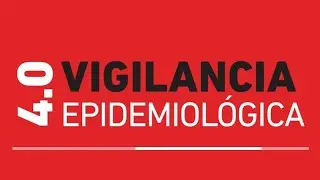 App Vigilancia Epidemiológica: ¿Cómo acceder al resultado de tu Test?
