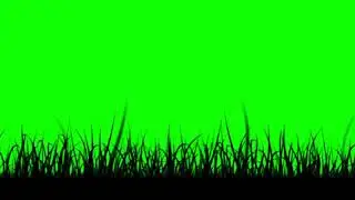 Grass Animation Green screen l HD