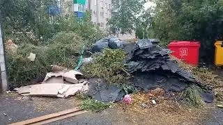 Очередная 