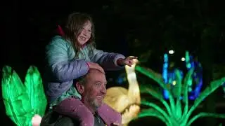Glowing Wild 2026