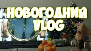 НОВОГОДНИЙ ВЛОГ!!!