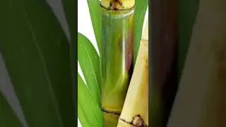 सपने में गन्ना देखना या खाते हुए देखना ।