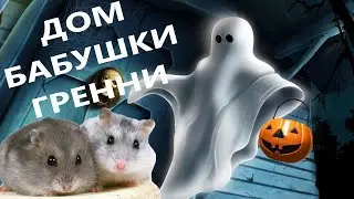 ГОВОРЯЩИЕ ХОМЯЧКИ в ДОМЕ БАБКИ ГРЕННИ😱 Granny в реальной жизни.
