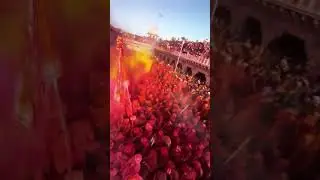Happy Holi Party Drone Strike #holi #shorts