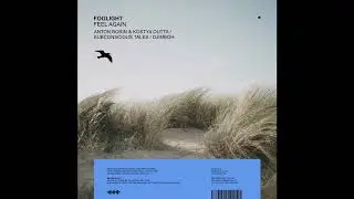 foglight - Feel Again (Kostya Outta & Anton Borin Remix)