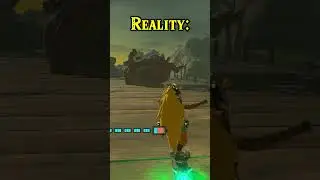 Tears Of The Kingdom Combos Expectation Vs. Reality... 