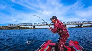СПИННИНГ в ДУГУ от ЗЛЫХ РЫБИН | ОСЕННИЙ ЖОР НАЧИНАЕТСЯ