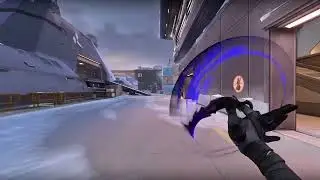 NEW Reaver Karambit Level 2 // VALORANT
