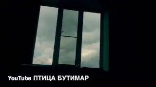 Если бы...