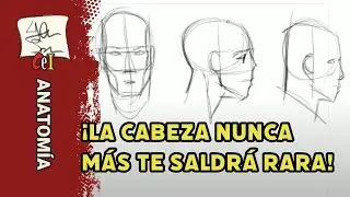 Dibujar la cabeza humana